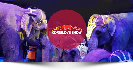 58c1e566c416c7af6014a6583