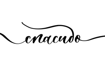 thank-you-on-russian-calligraphic-inscription-with-smooth-lines-vector